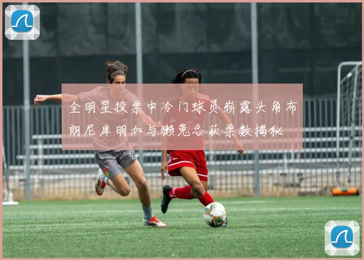 全明星投票中冷门球员崭露头角布朗尼库明加与獭兔各获票数揭秘